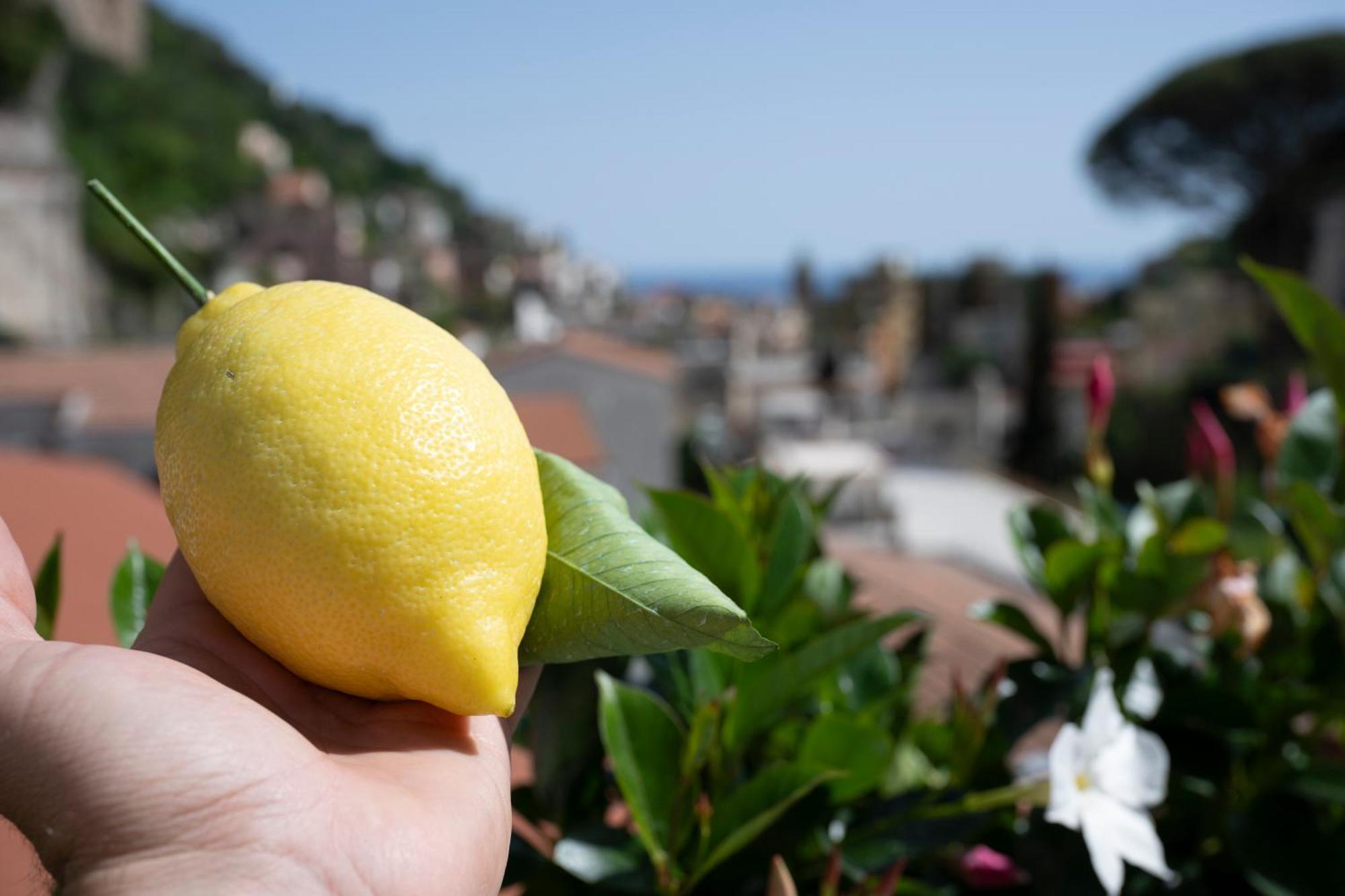 Valle D'Amalfi Suites Kültér fotó