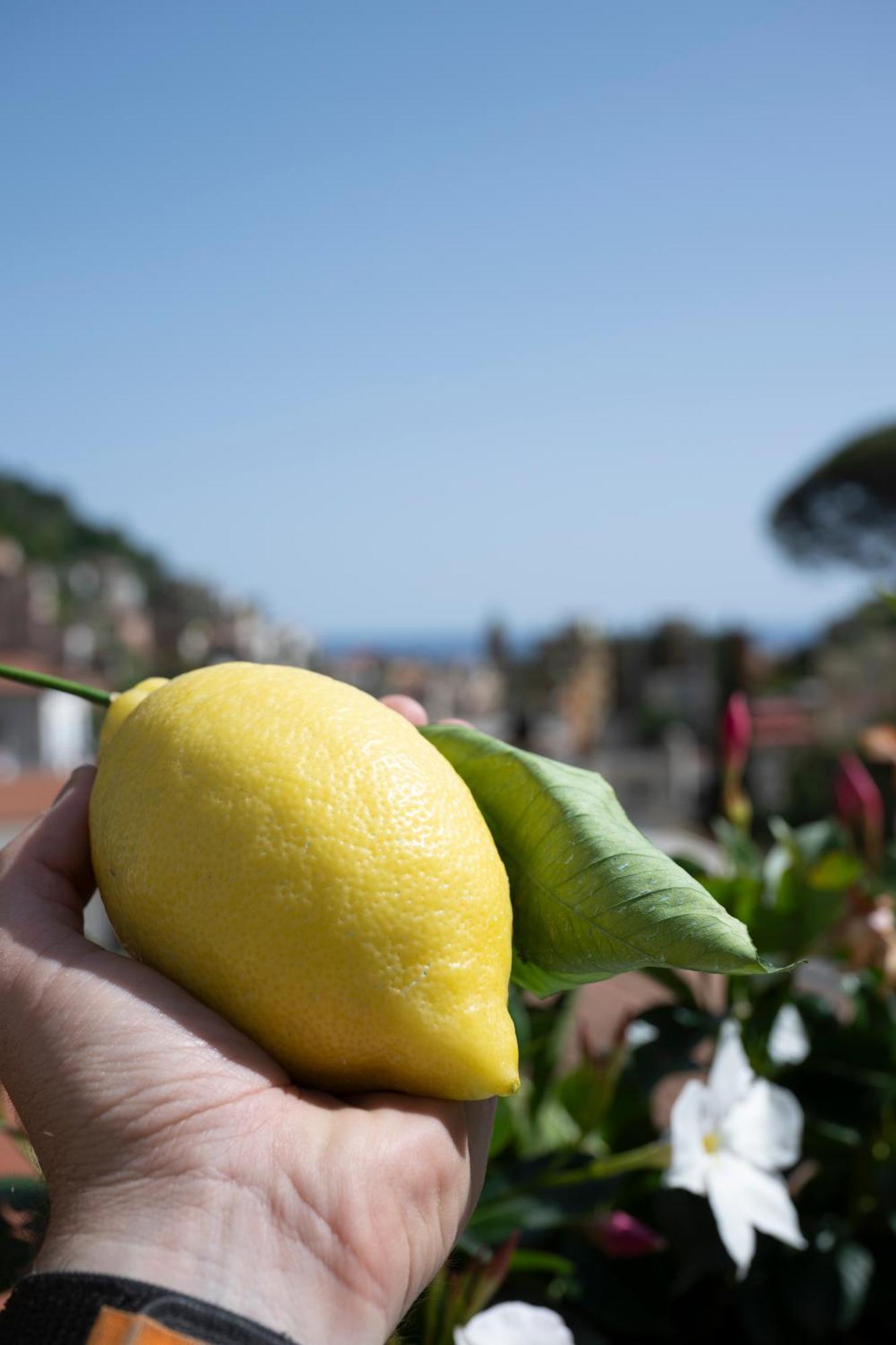 Valle D'Amalfi Suites Kültér fotó